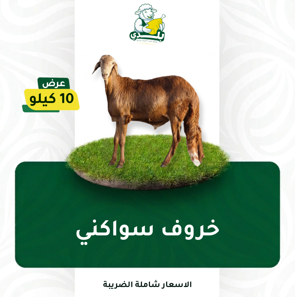 عرض 10 كيلو سواكني