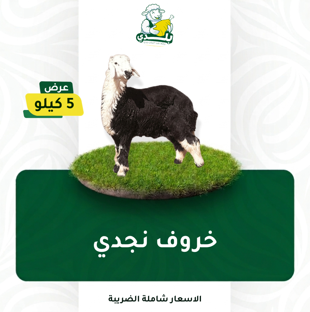 عرض 5 كيلو نجدي