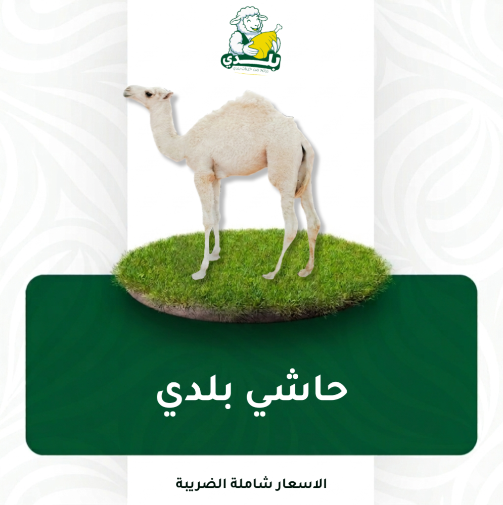 أضحية سهم حاشي