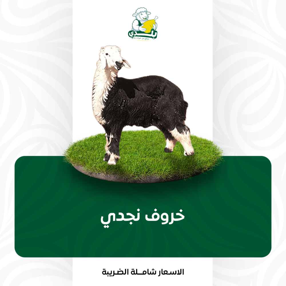 أضحية نجدي