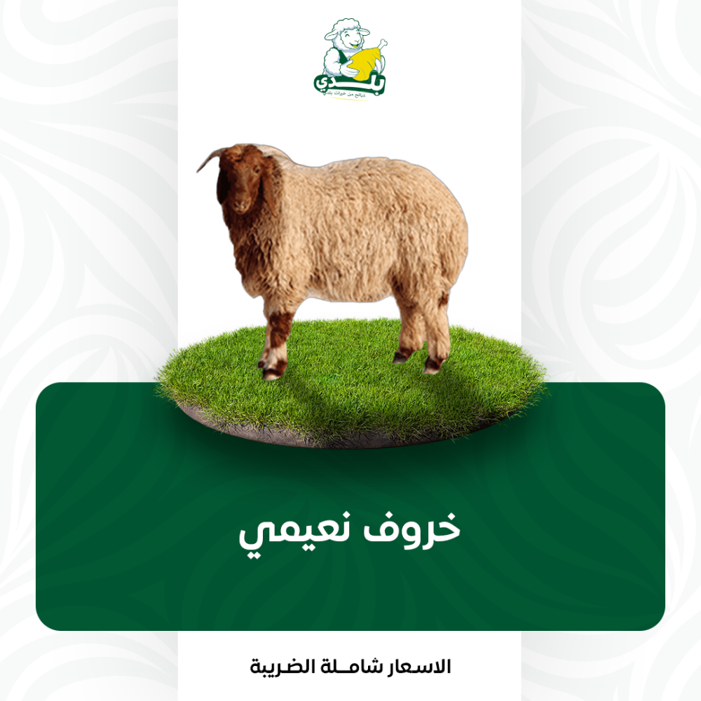 خروف نعيمي